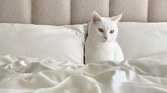 Linenbundle extends Bleckmann 3PL partnership to target European expansion