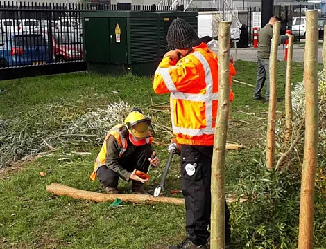 Bleckmann crea más biodiversidad en el complejo industrial de Bergen op Zoom