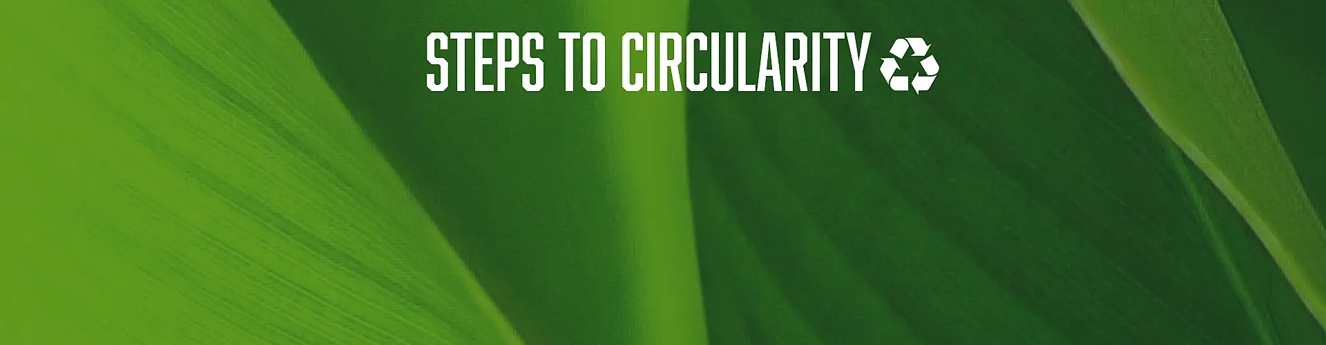 Steps to Circularity